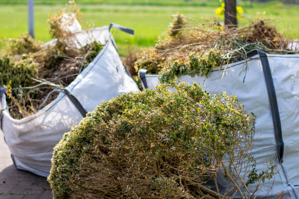 Best Construction Debris Removal  in Brambleton, VA